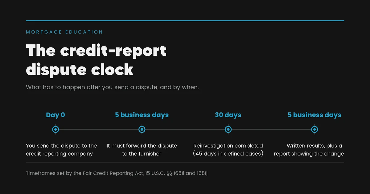 Timeline of the credit report dispute clock: day zero you send the dispute, five business days for the reporting company to forward it to the furnisher, thirty days to finish the reinvestigation or forty-five in defined cases, then five business days for written results and a revised report.